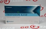 Horizon Testozon E250 mg/ml - цена за 10амп купить в России
